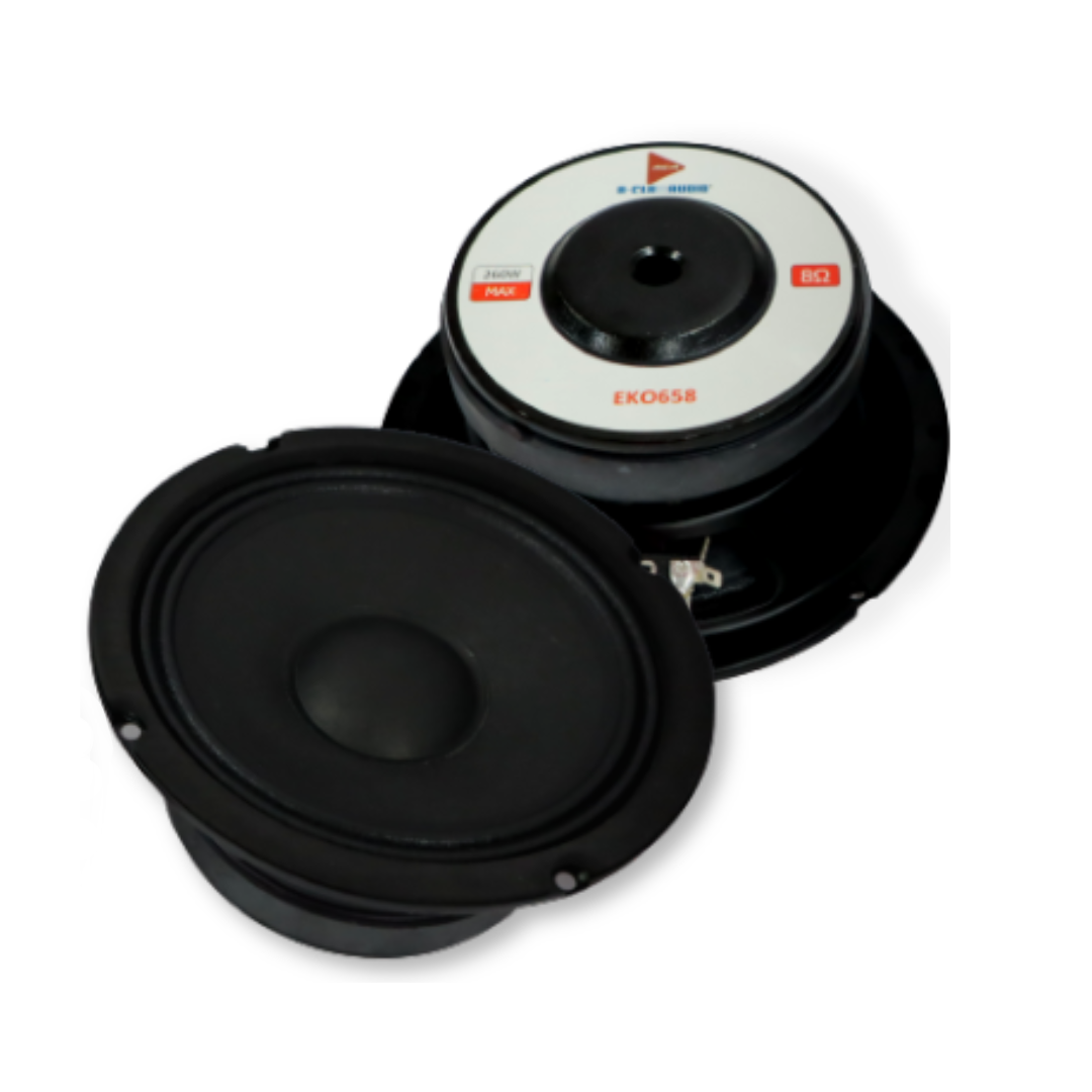 Haut-Parleur Medium 260W